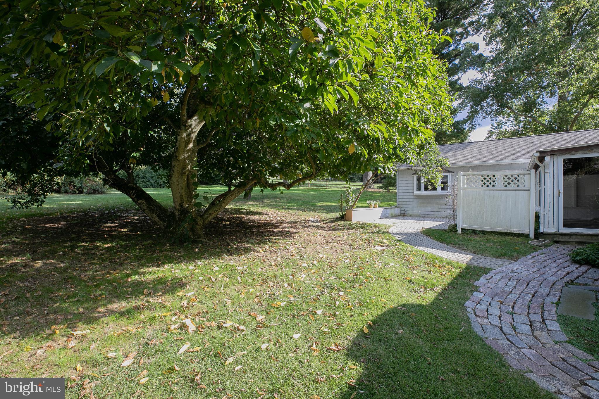 913 Drexel Ln