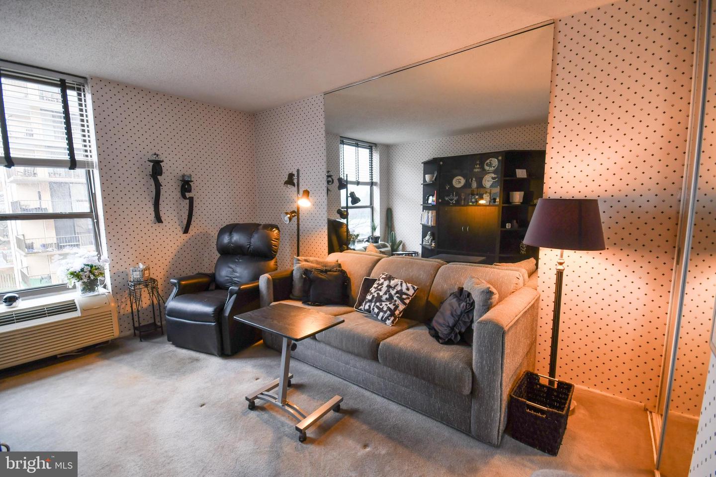 666 W Germantown Pike #1316