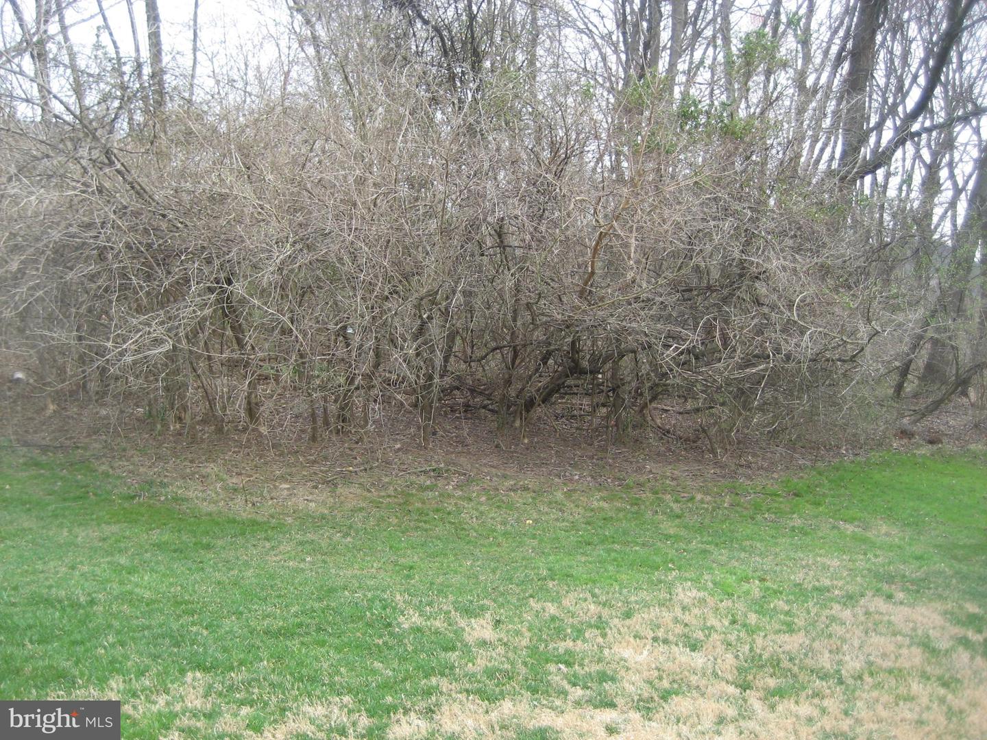 18 Ramsgate Ct #215 U-18