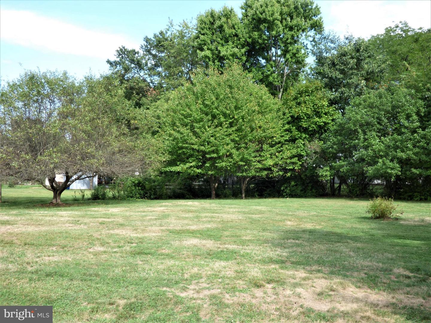 1211 Forsythe Dr