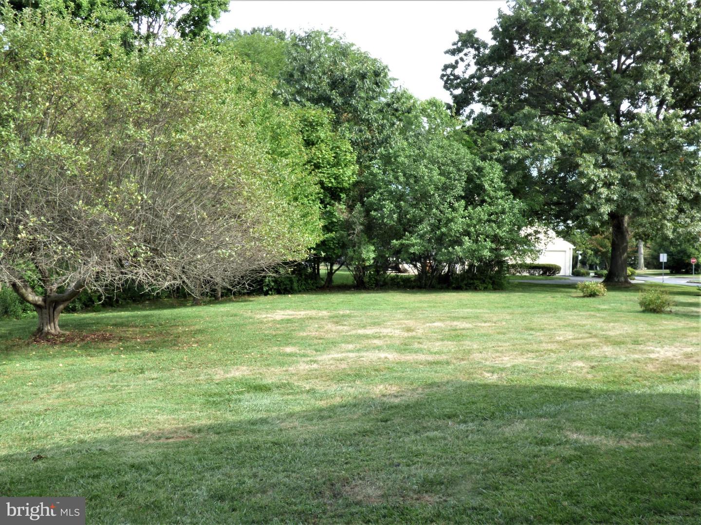 1211 Forsythe Dr