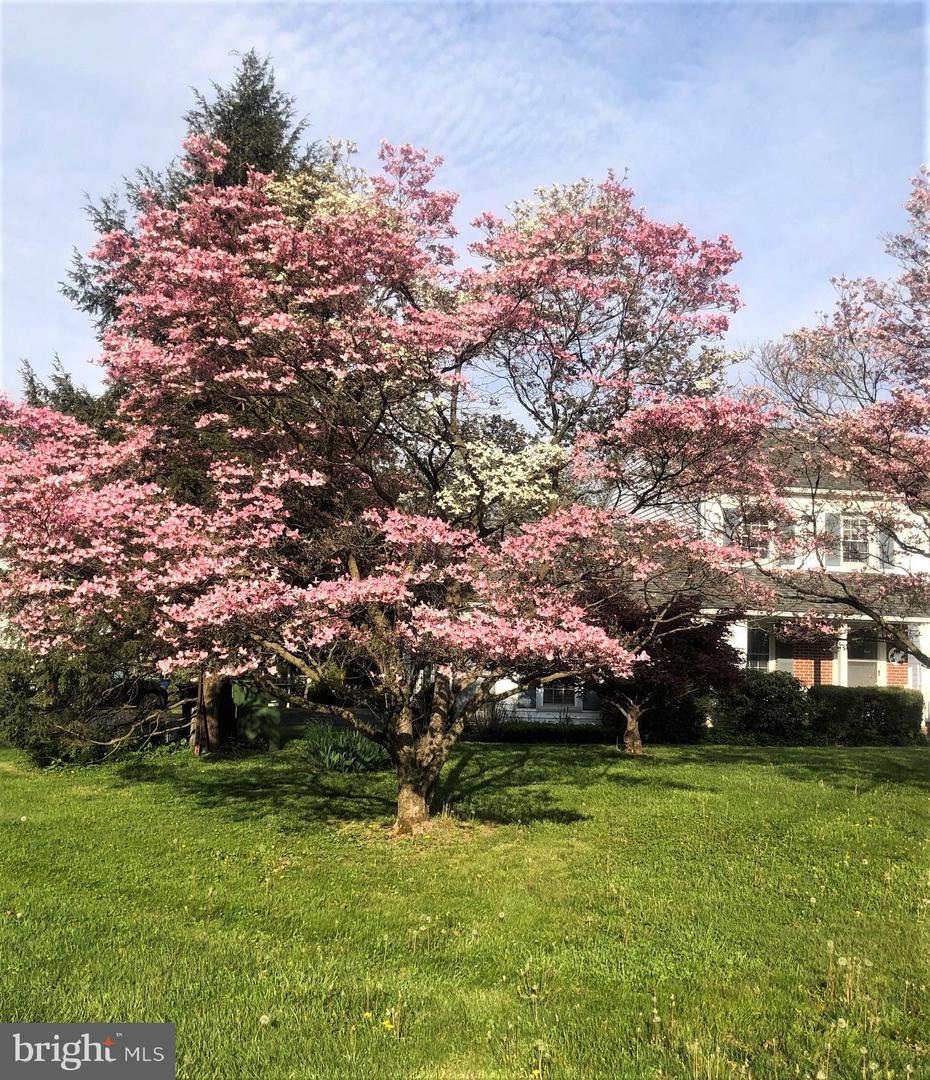 1211 Forsythe Dr