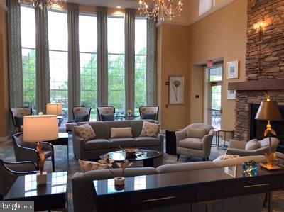 1407 Lilac Court