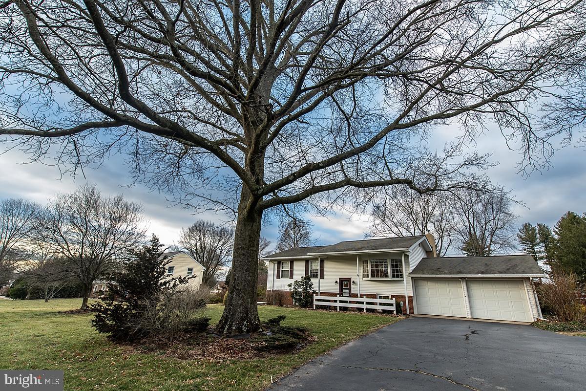 1247 Cedars Rd