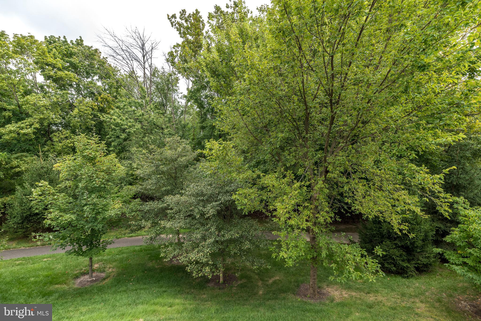 169 Brindle Ct