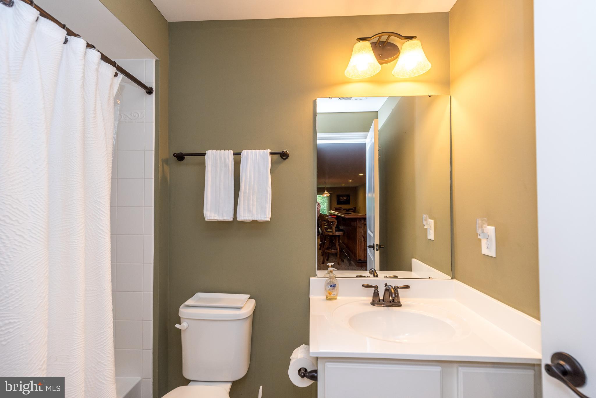 169 Brindle Ct
