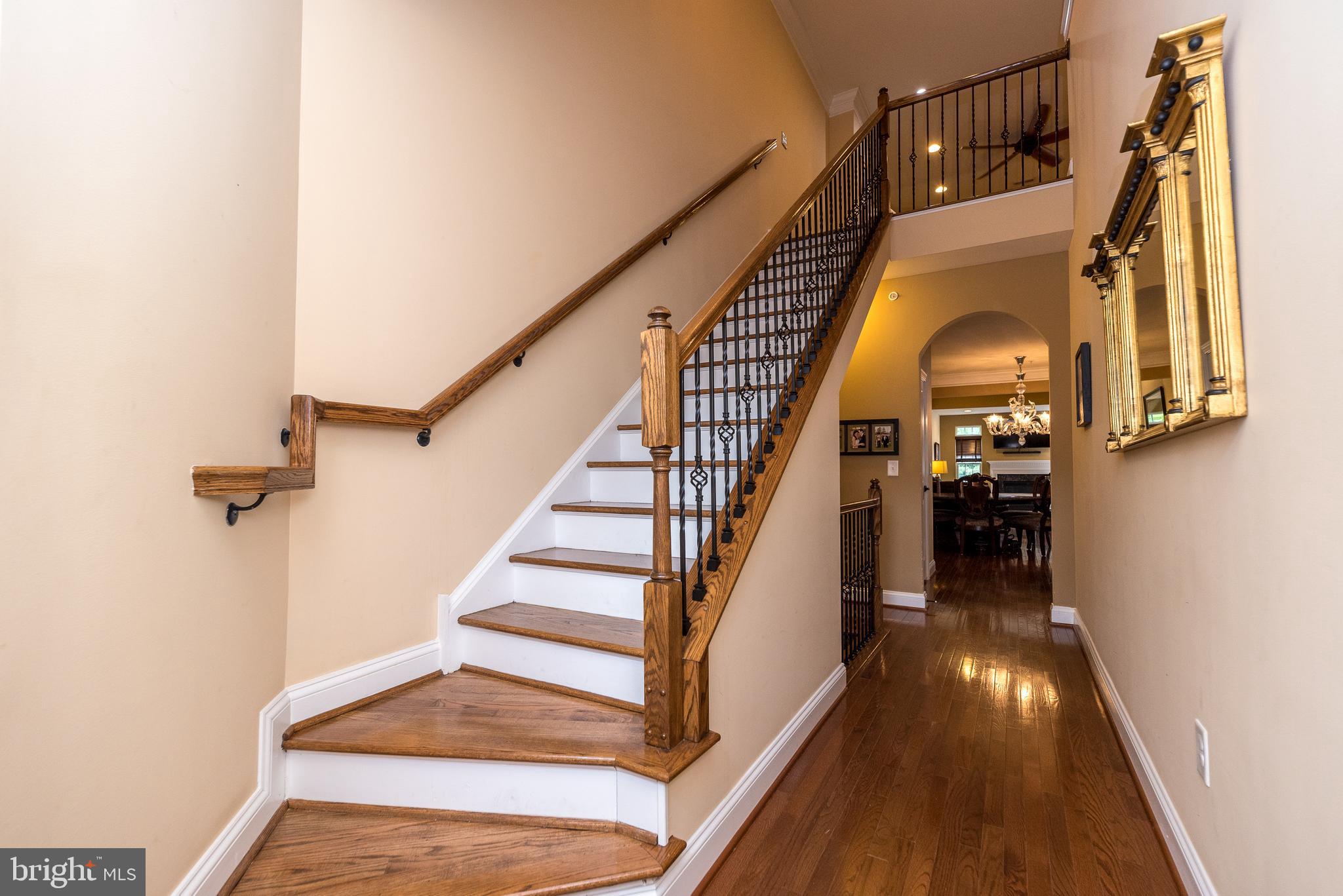 169 Brindle Ct