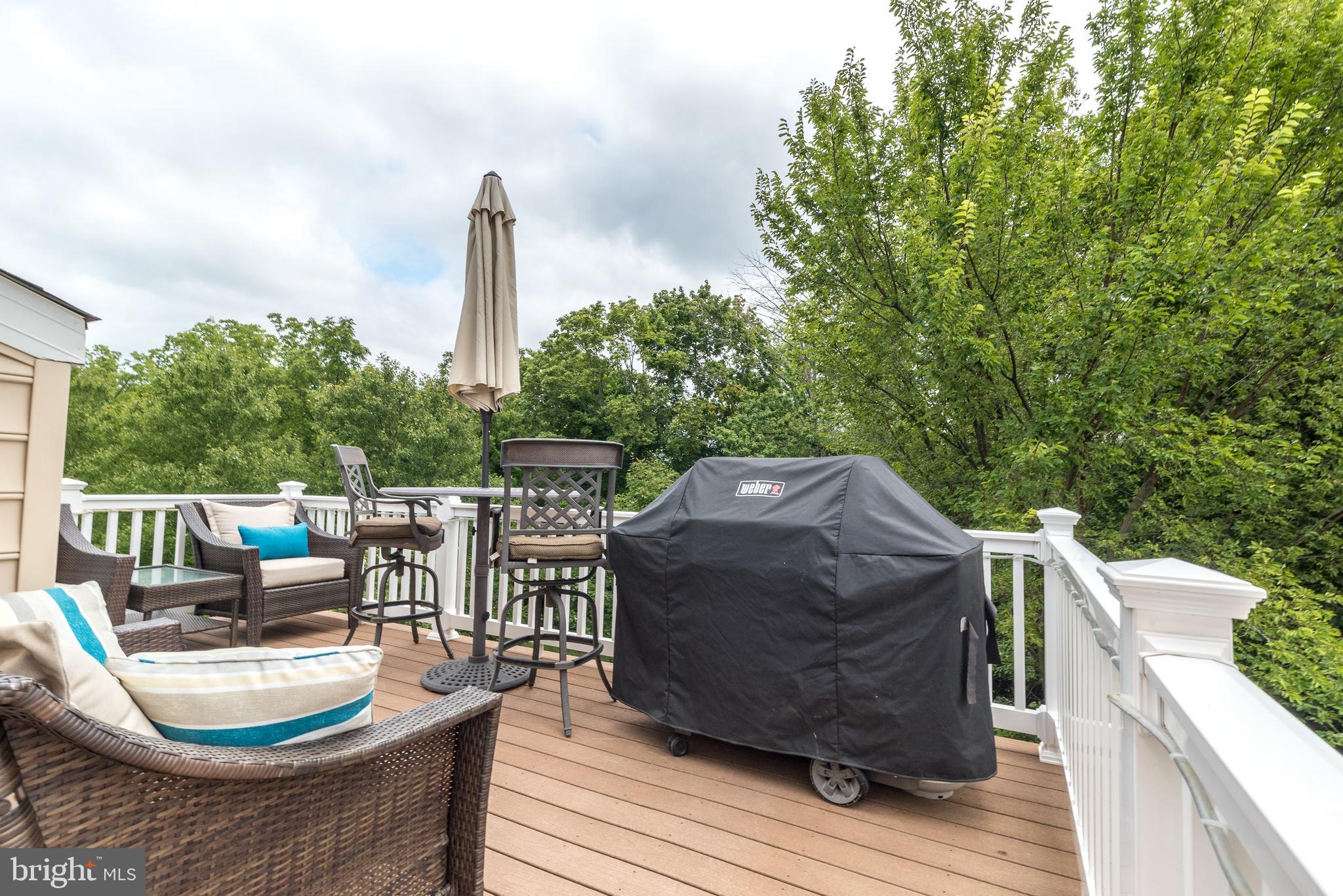 169 Brindle Ct