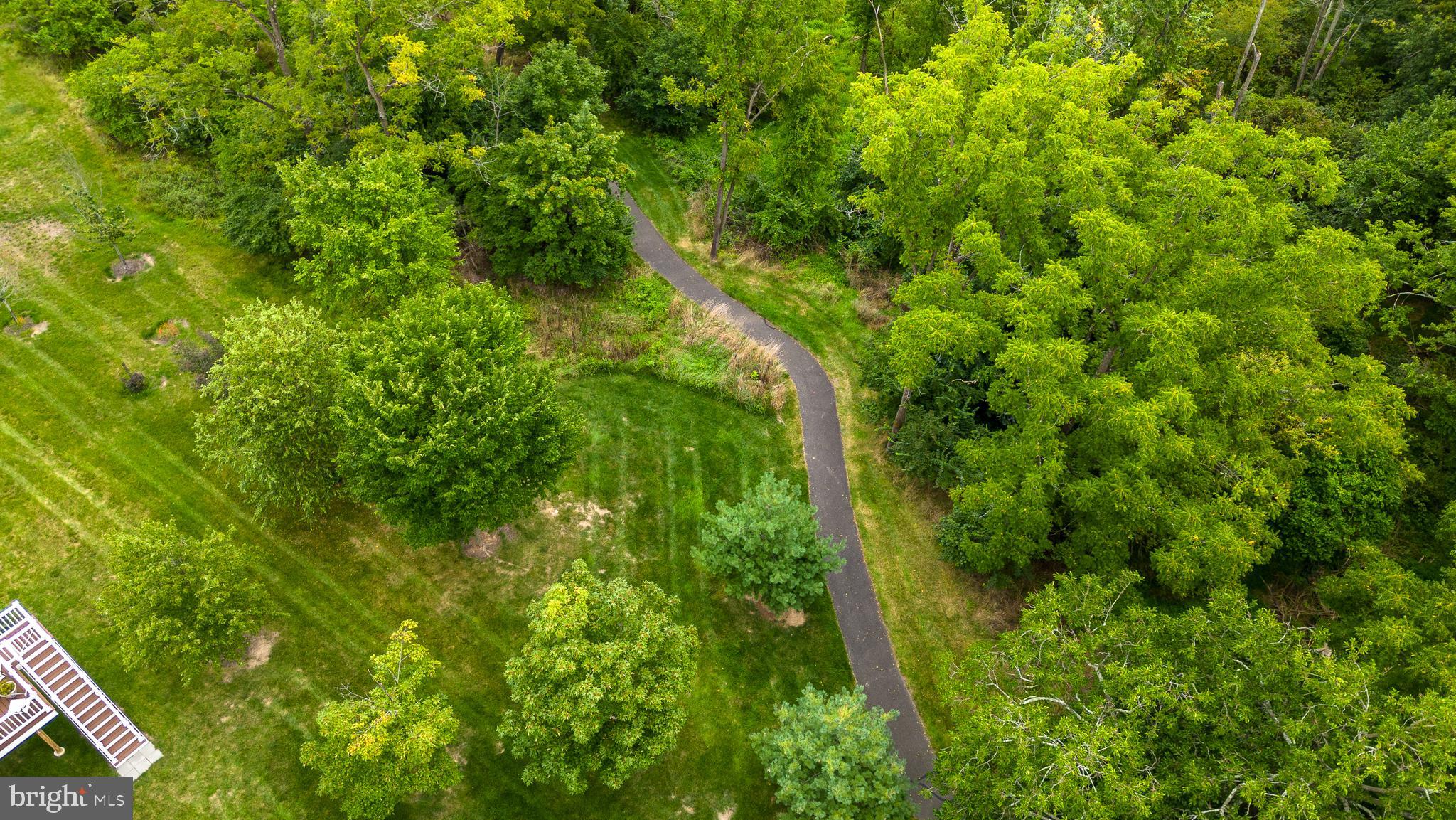 169 Brindle Ct