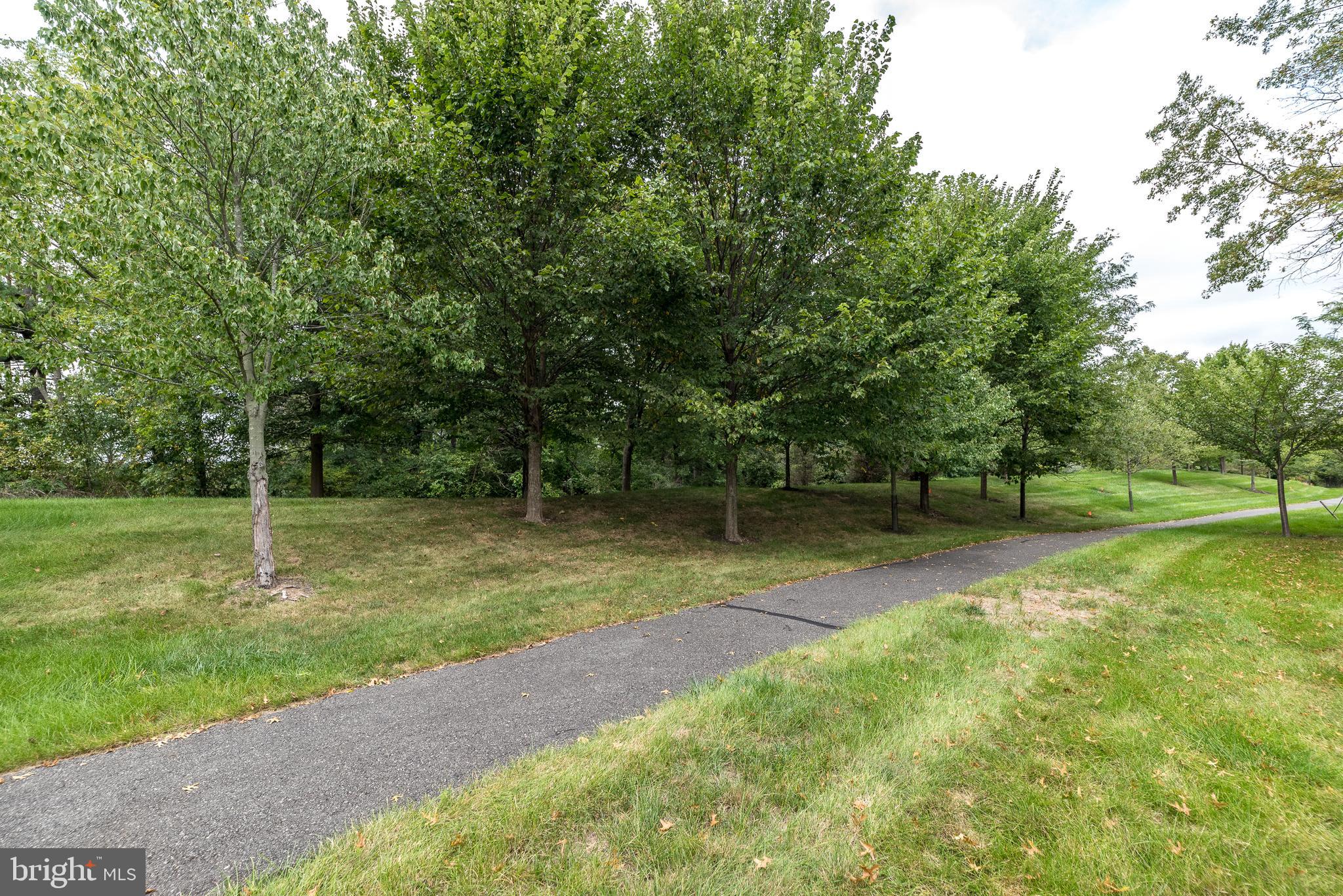 169 Brindle Ct