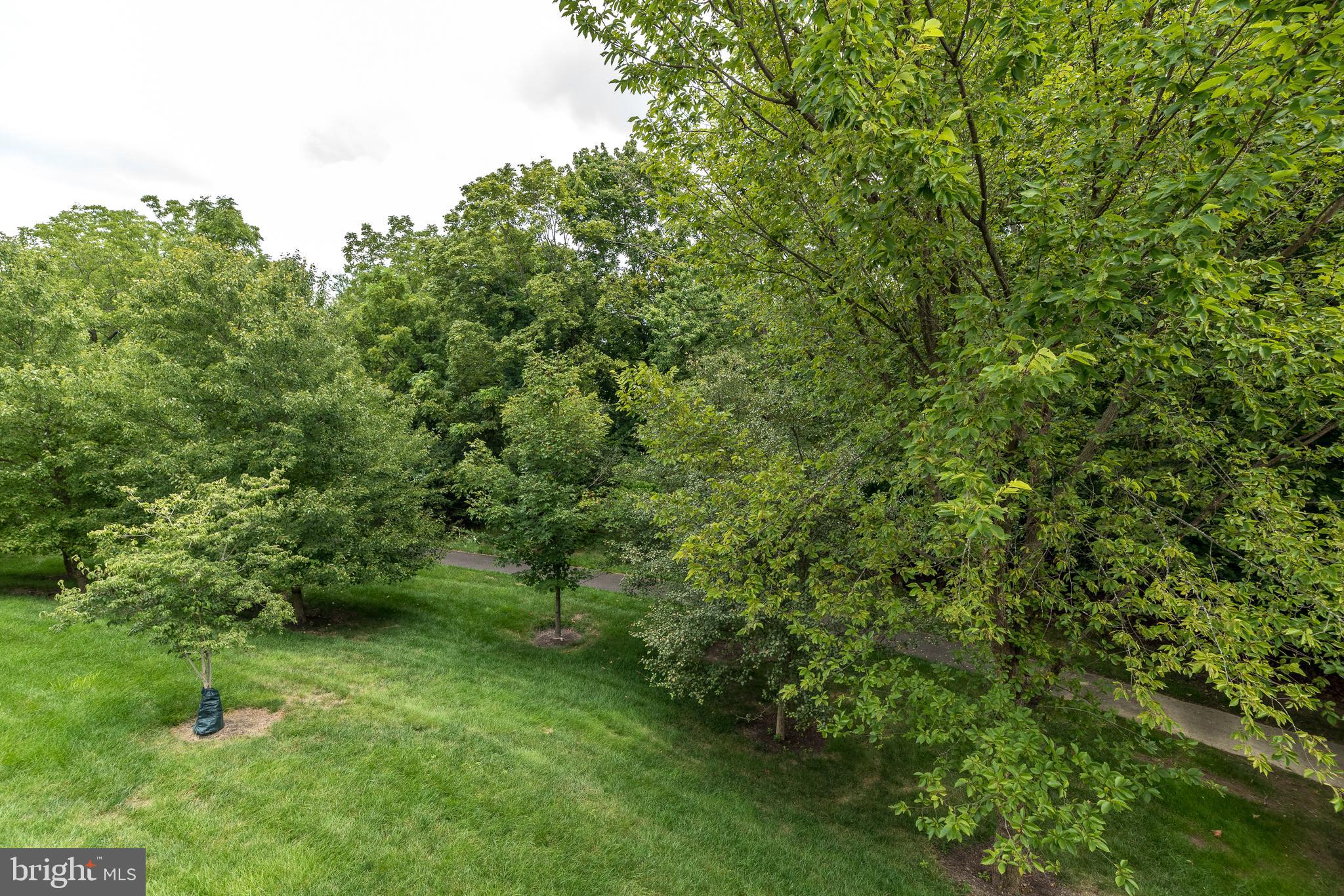 169 Brindle Ct
