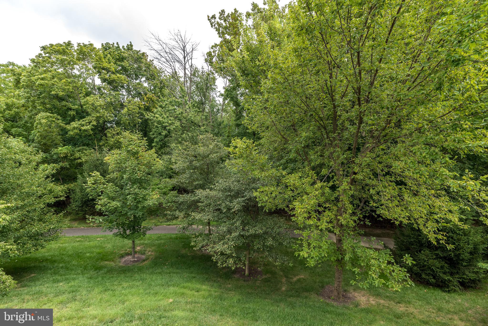 169 Brindle Ct