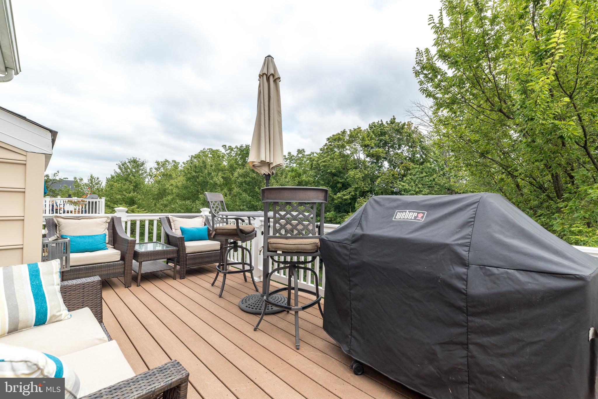 169 Brindle Ct