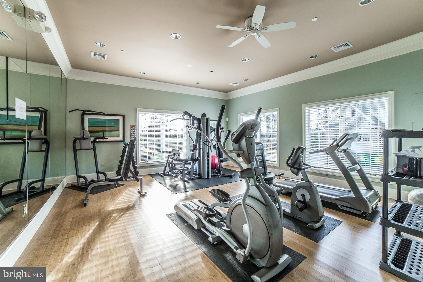 169 Brindle Ct