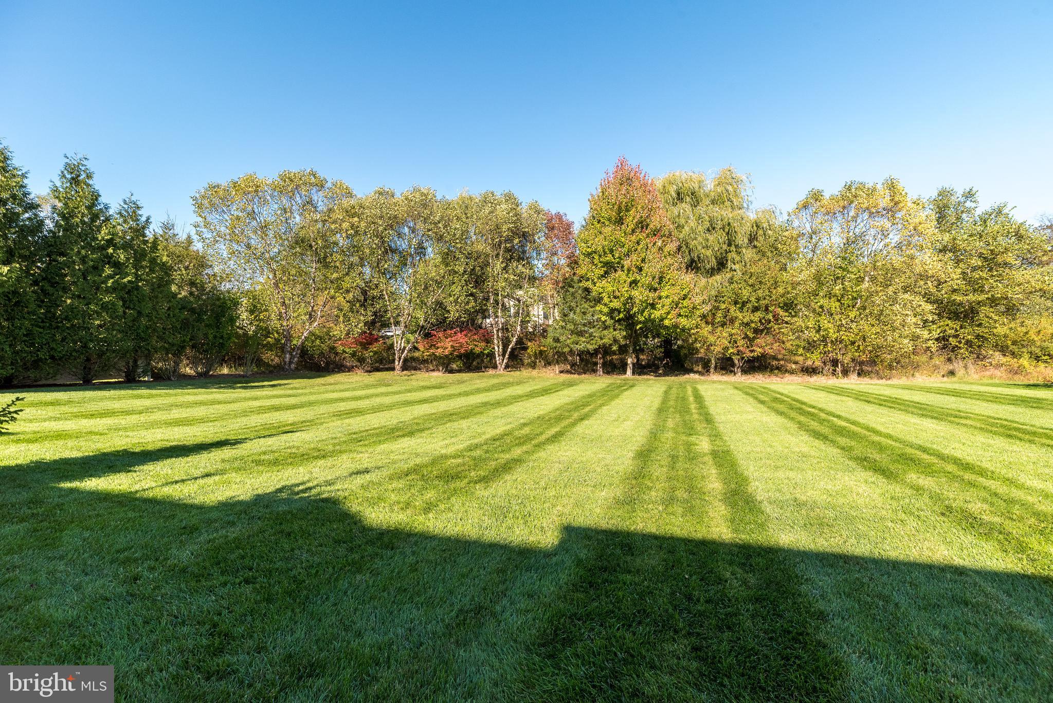 1367 Worthington Ct