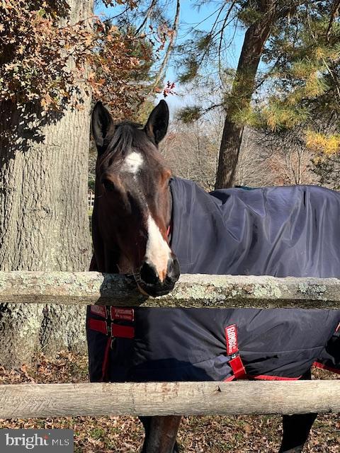 922 Township Line Rd #Left Side