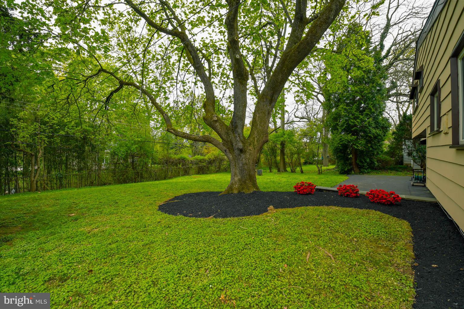 13 Camelot Dr