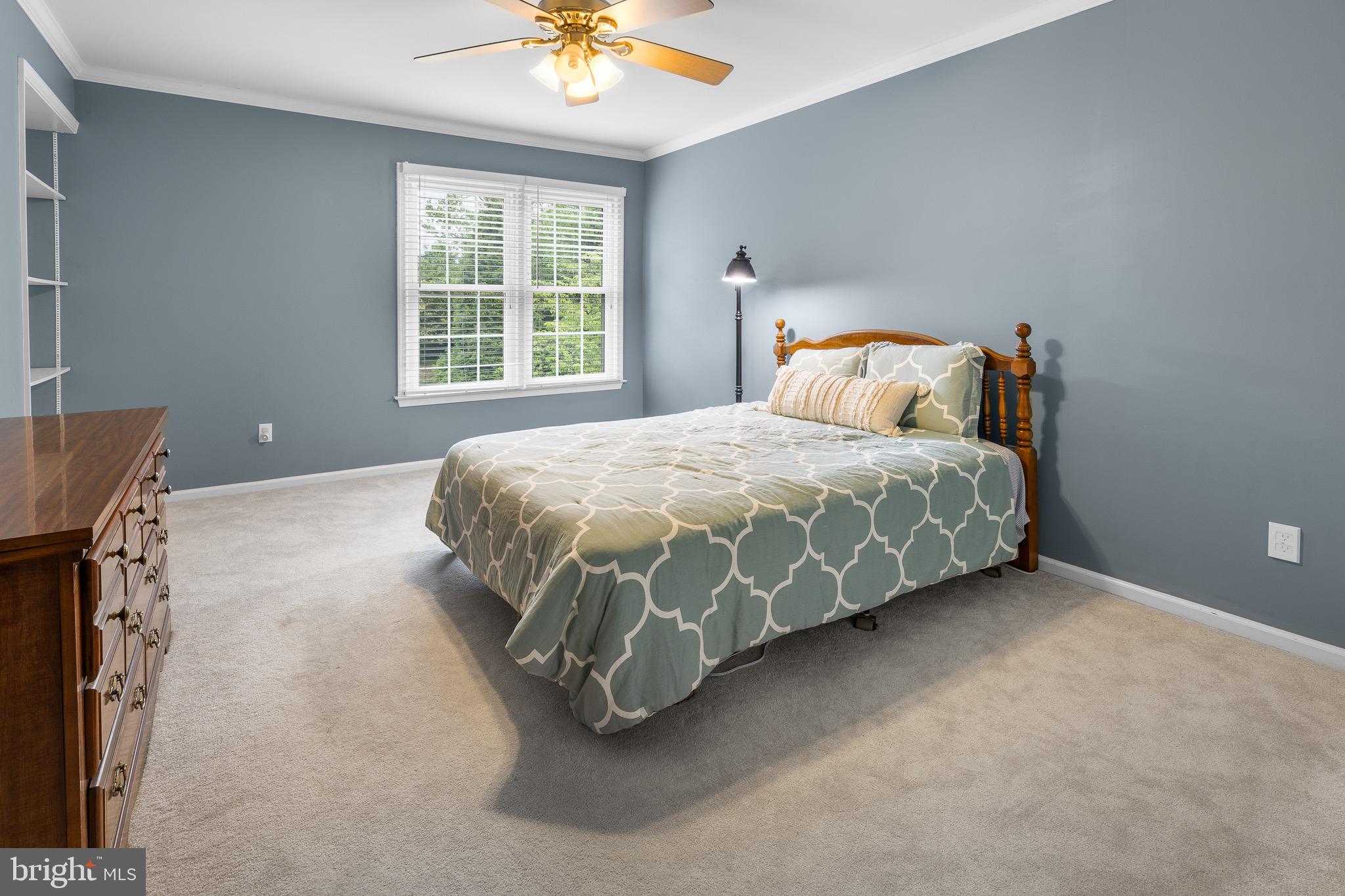 206 Bridle Ln