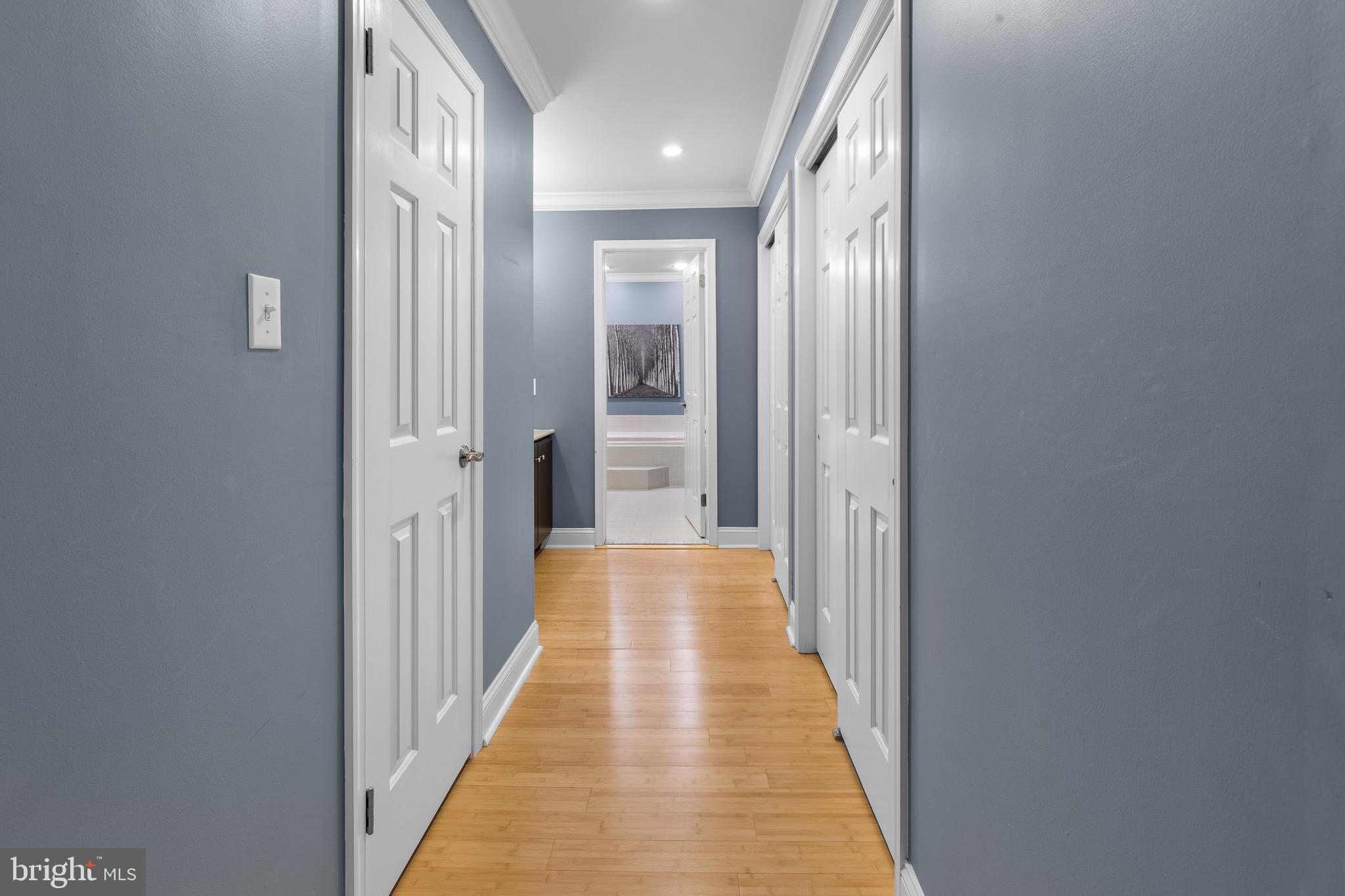 206 Bridle Ln