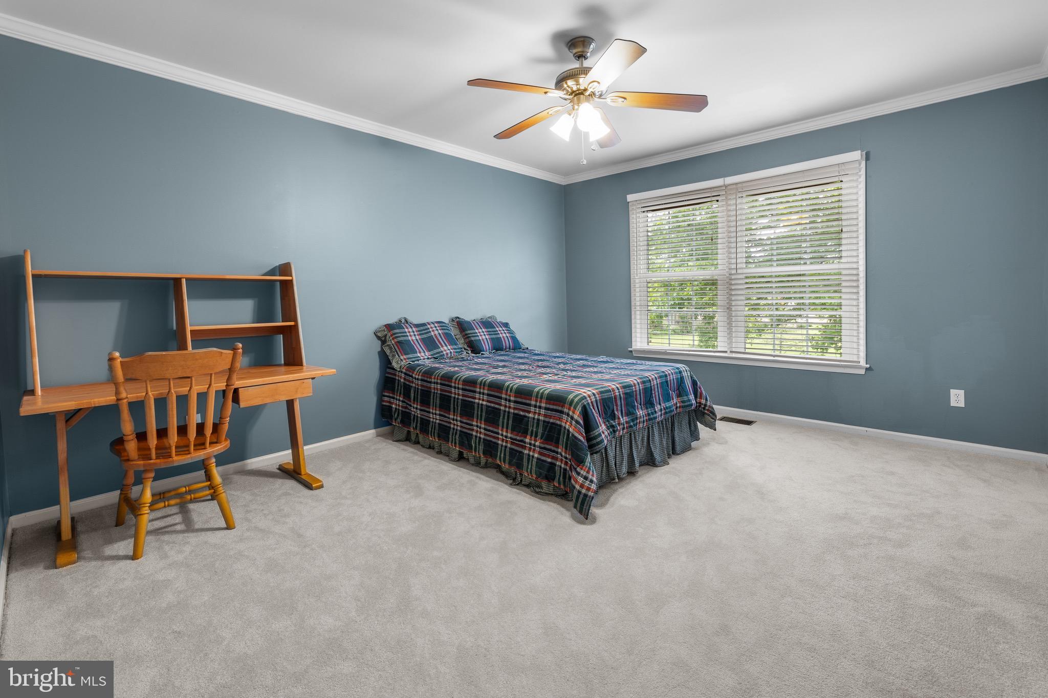 206 Bridle Ln