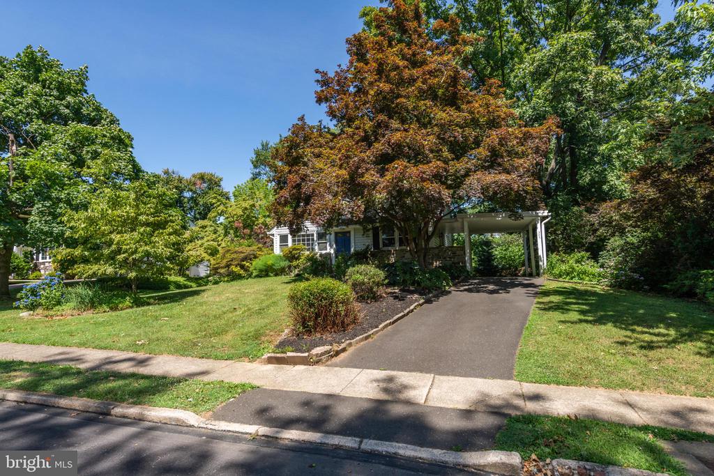 305 Preston Rd