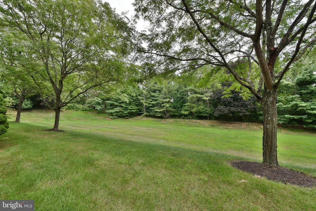 19 HIGHGATE LN