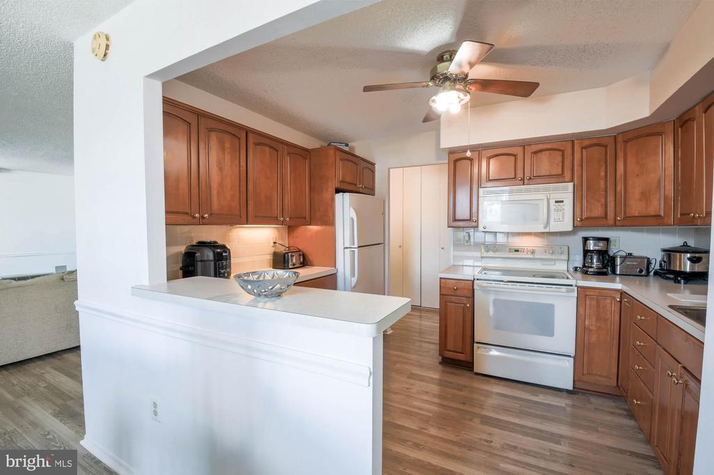 666 W Germantown Pike #2221