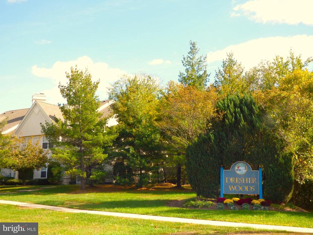 312 Dresher Woods Dr