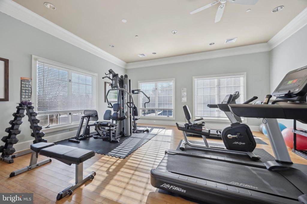 102 Shire Dr