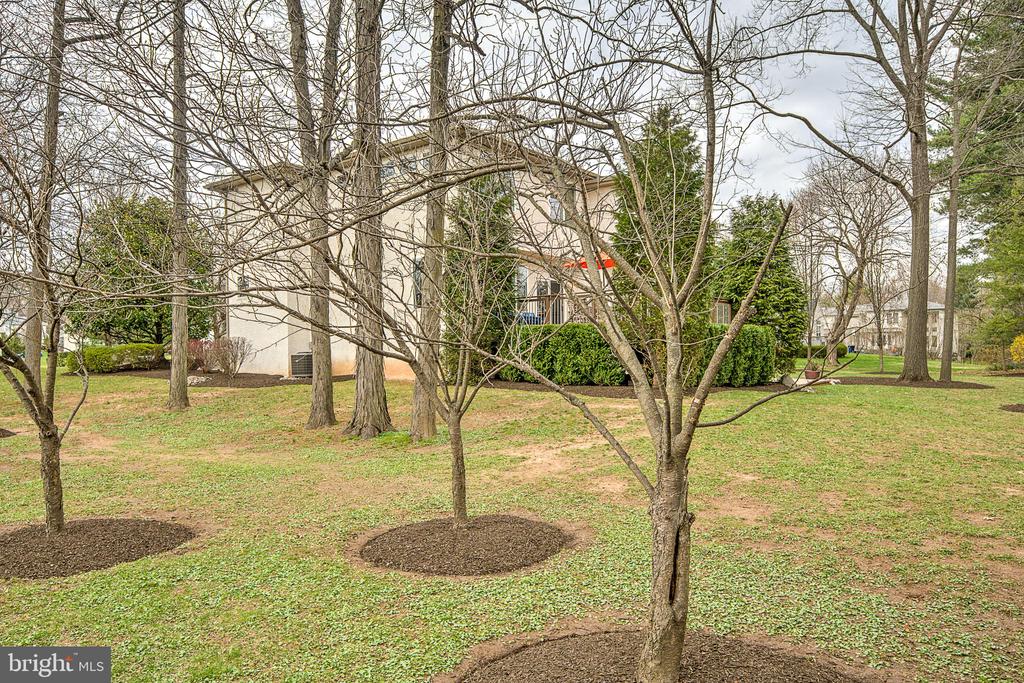 1469 Golden Dr