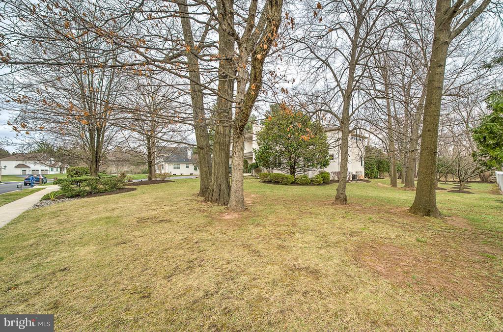 1469 Golden Dr