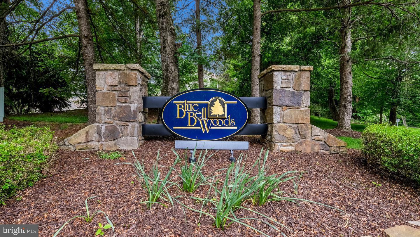 235 Copper Beech Dr