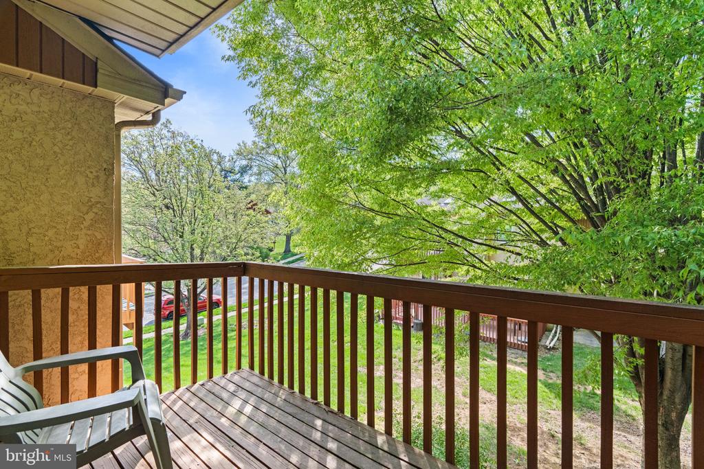 37 WHITE PINE CT