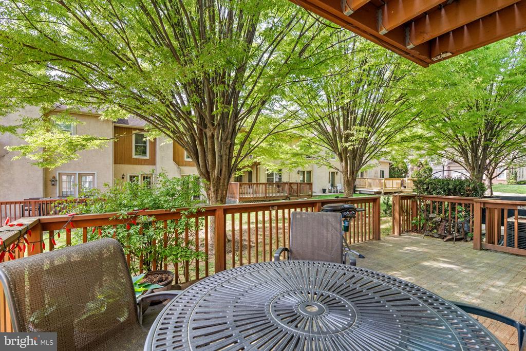 37 WHITE PINE CT