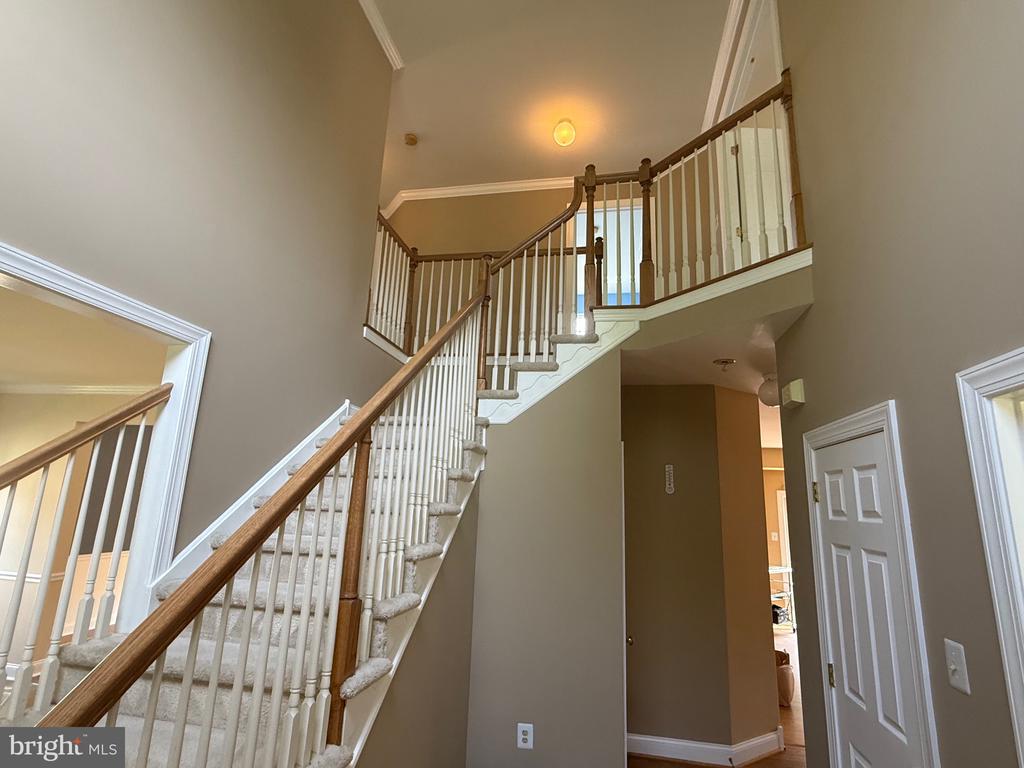 103 CARSON DR