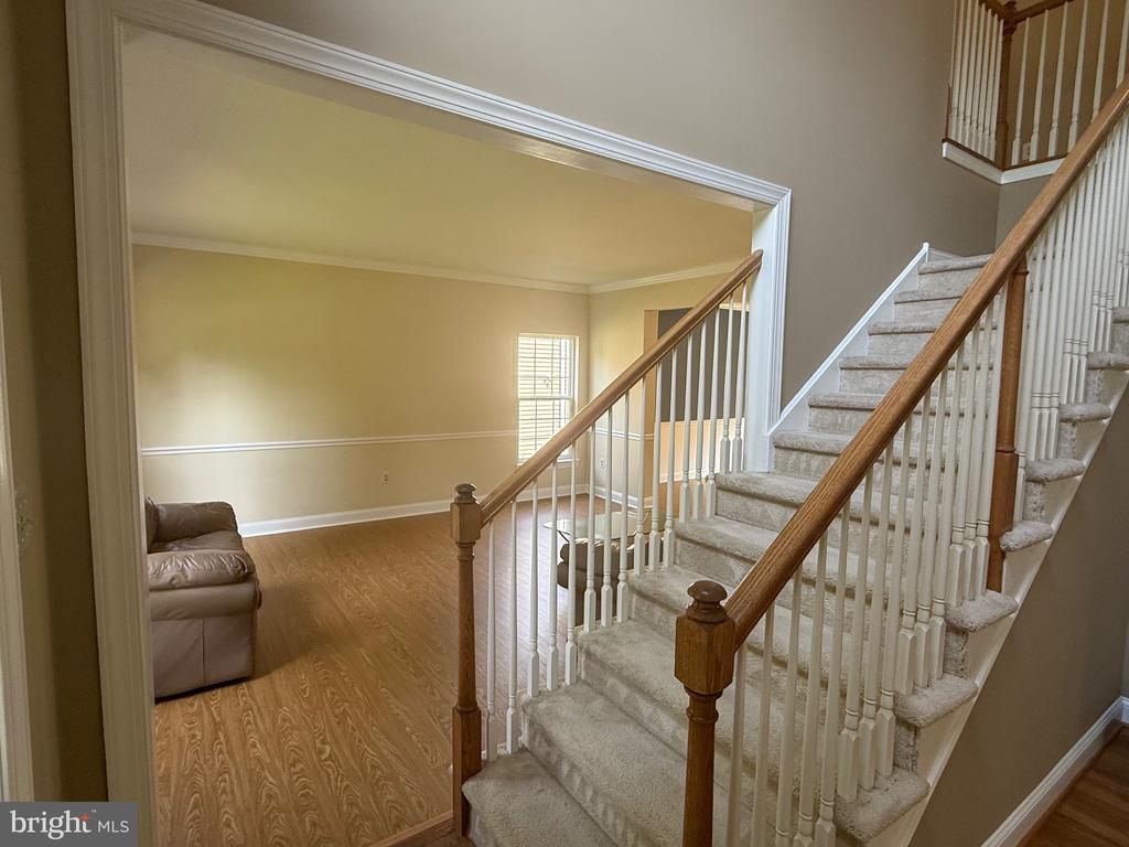 103 CARSON DR