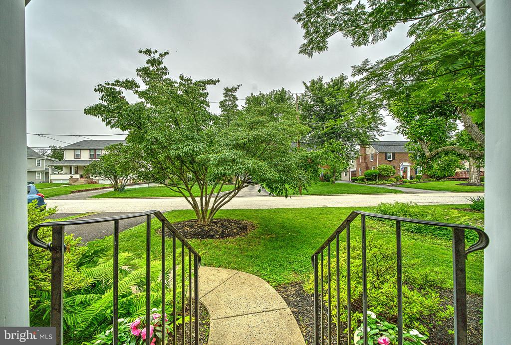 20 Grove Ave
