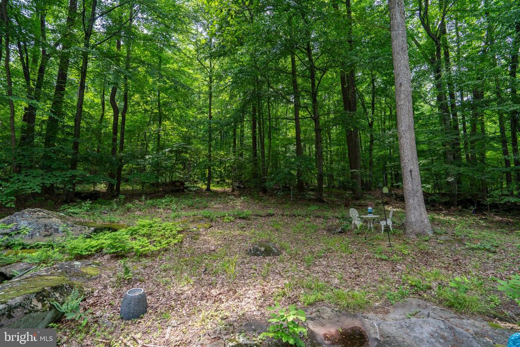 284 Whites Mill Rd
