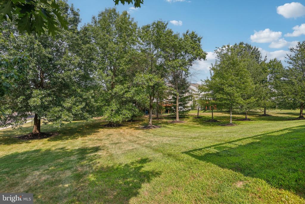 505 Joshua Ct