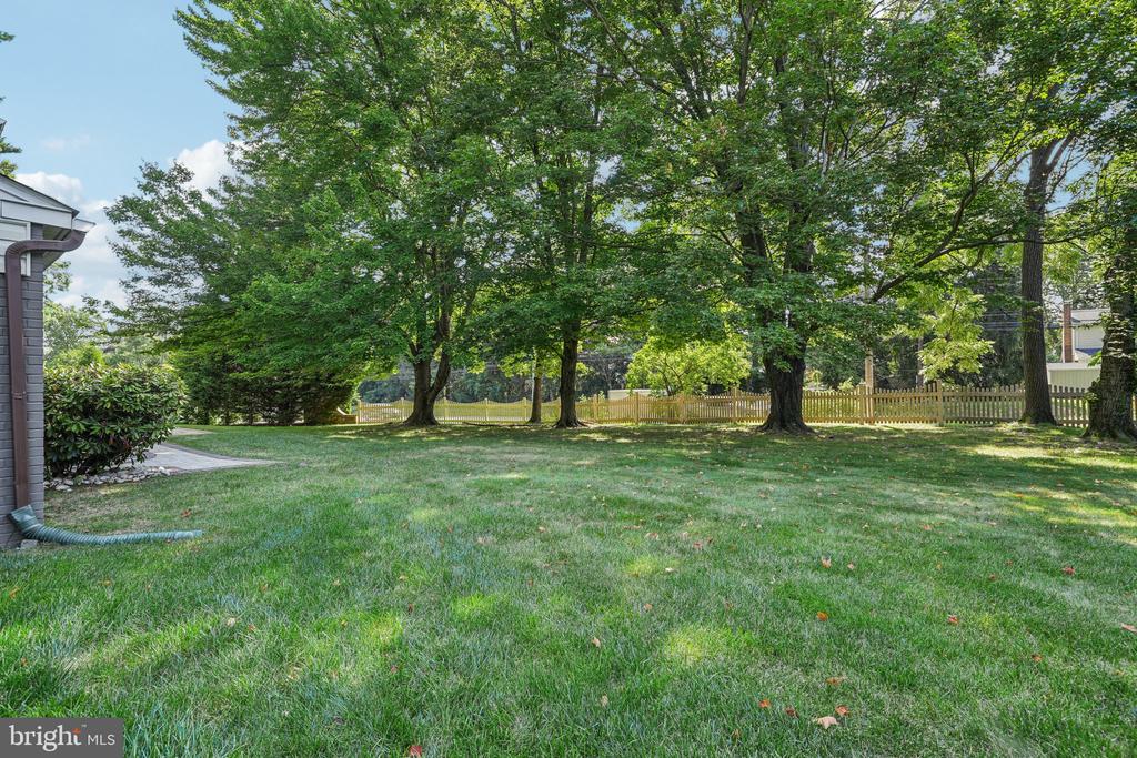 3617 Sipler Ln