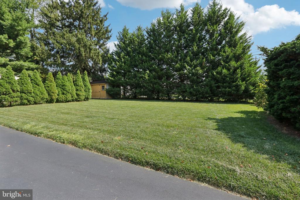 355 BRIGHTON ROAD