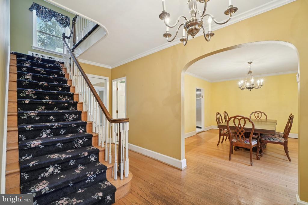 411 LODGES LANE