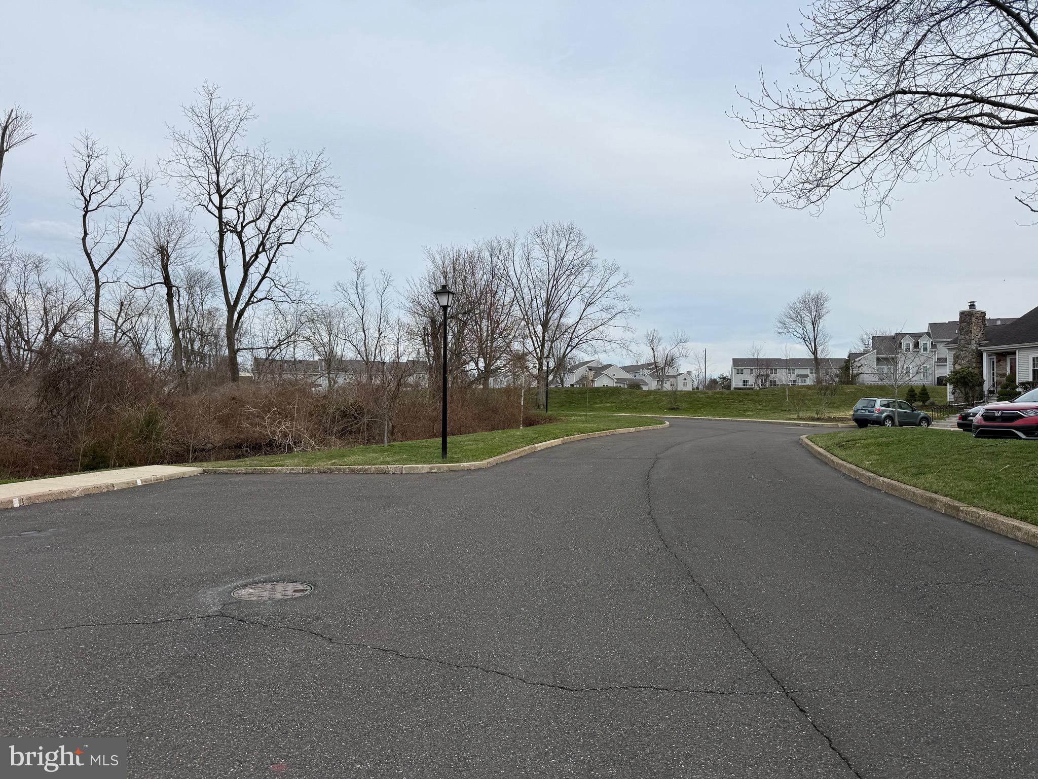 2003 RED MAPLE GROVE