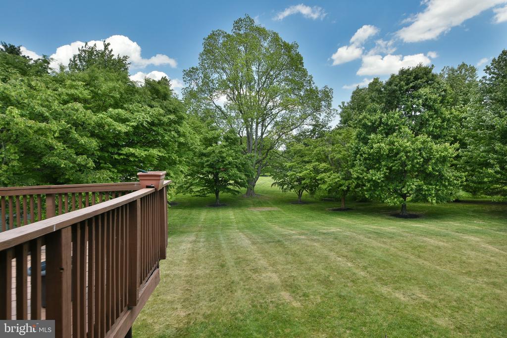 401 JENE COURT