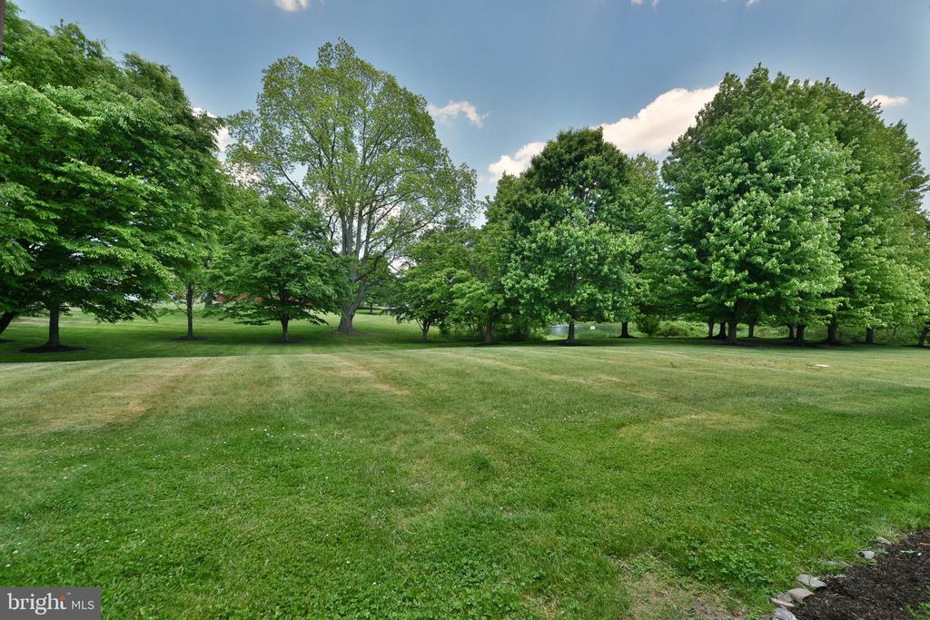 401 JENE COURT