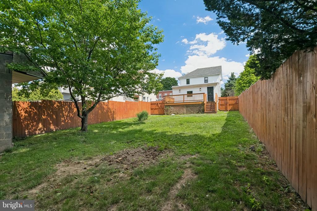 41 BELMONT AVENUE