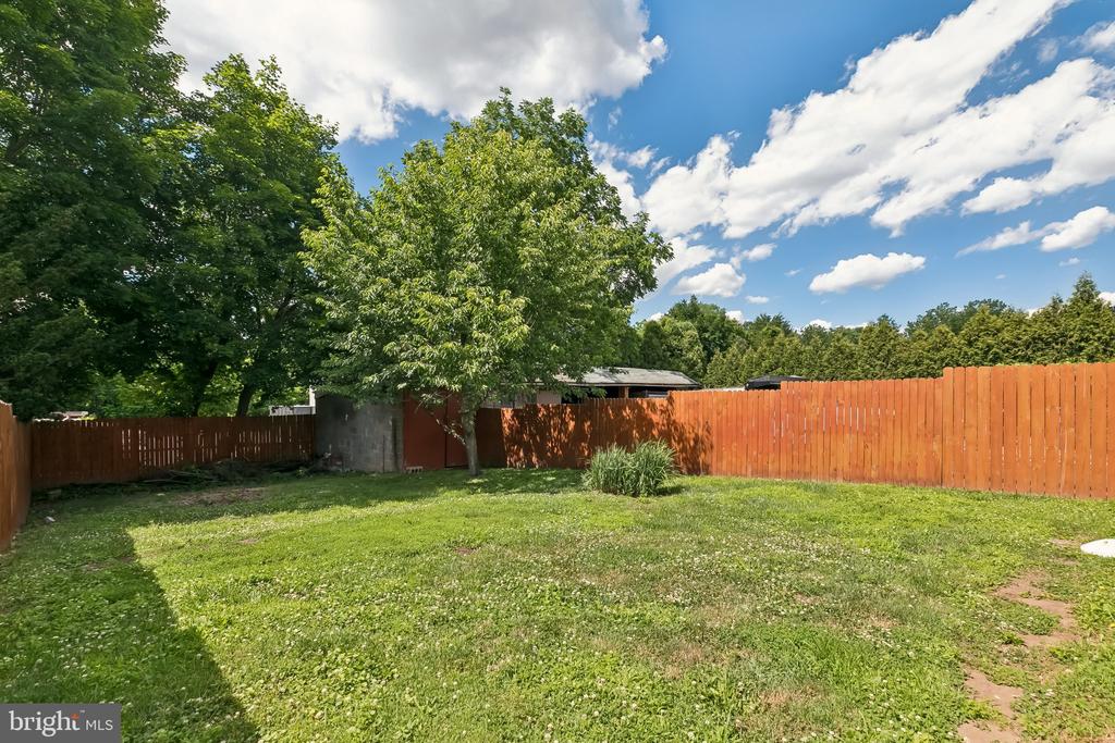 41 BELMONT AVENUE