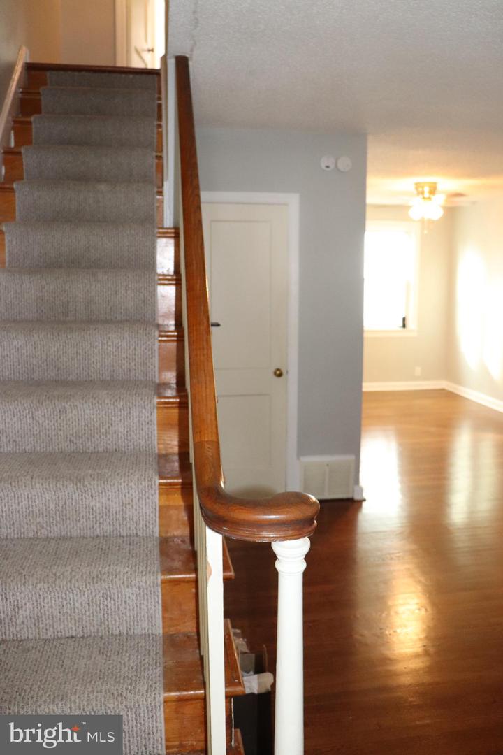 317 W. Salaignac St