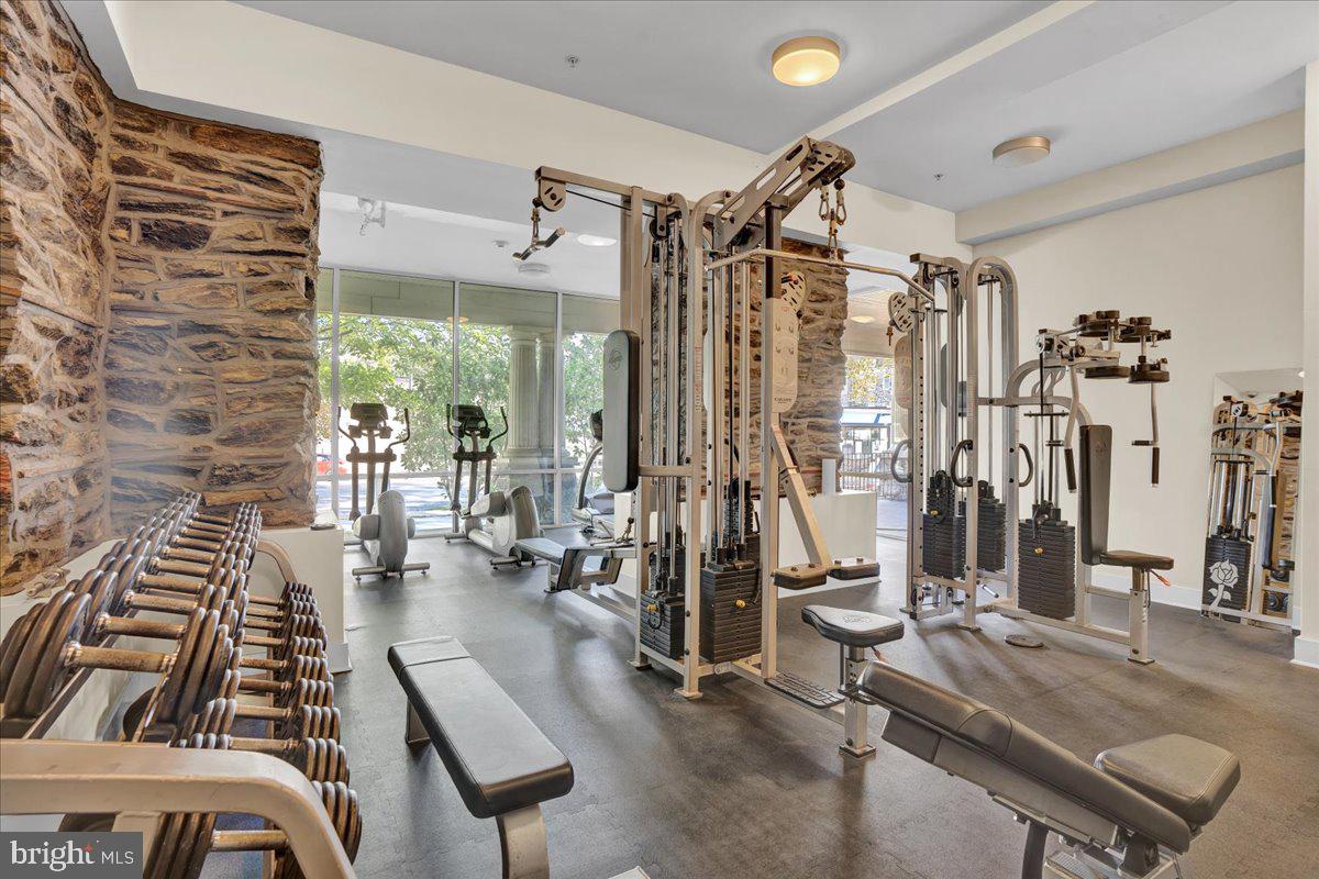 319 W Chelten Ave #204