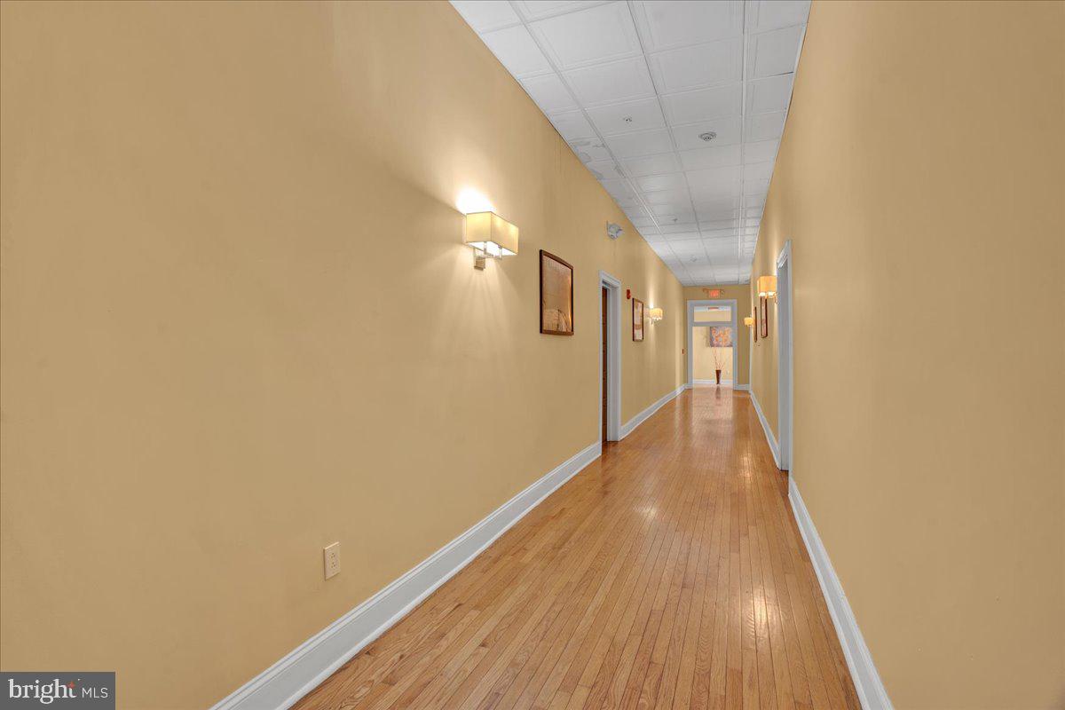 319 W Chelten Ave #504